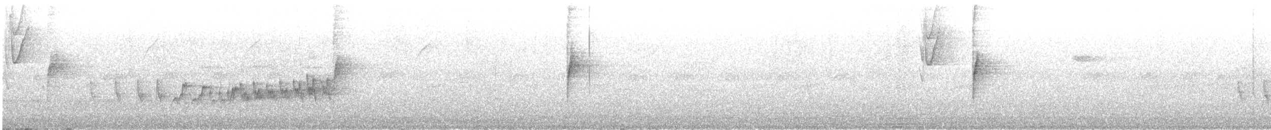 Two-banded Warbler - ML483687911