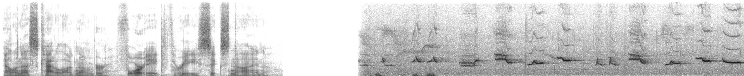 Rufous-bellied Thrush - ML48369