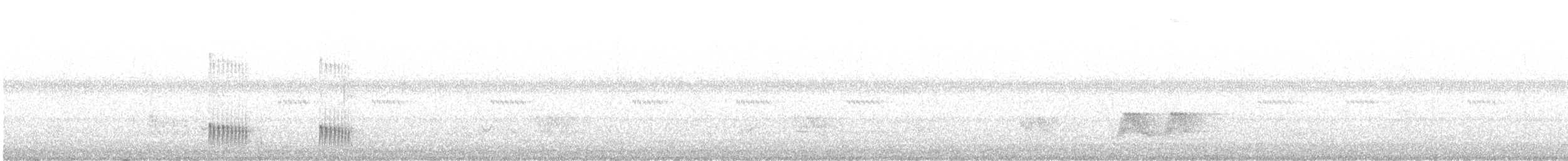 Todirostre gorgeret - ML483693621