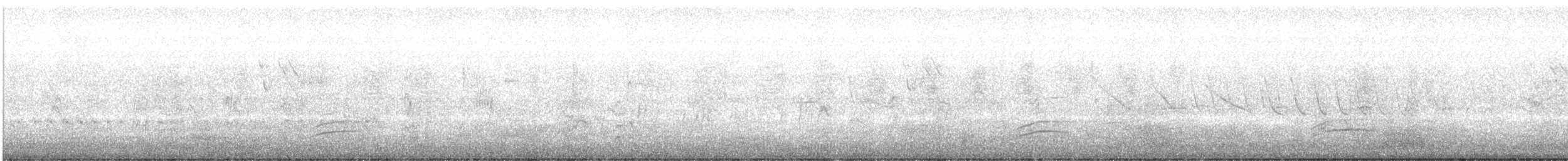 クビワコガモ - ML483698631