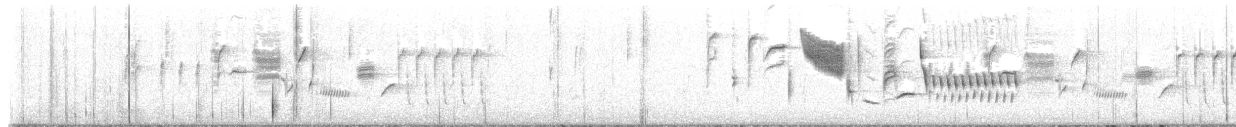 Troglodyte de Bewick - ML483708531