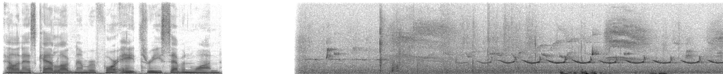 Rufous-bellied Thrush - ML48371