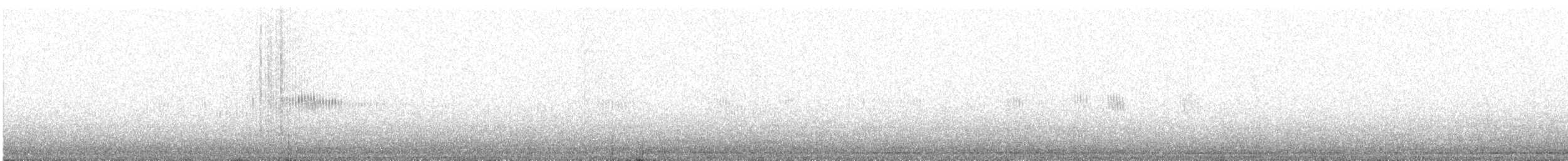 kalypta černobradá - ML483717611