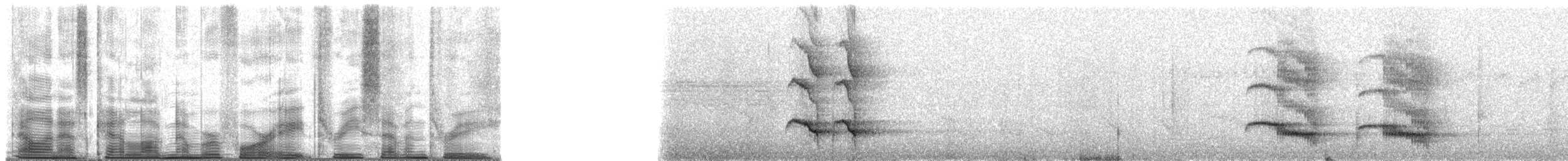 Giant Antshrike - ML48373