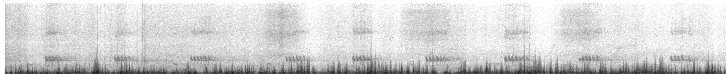 Еготело австралійський - ML483735961