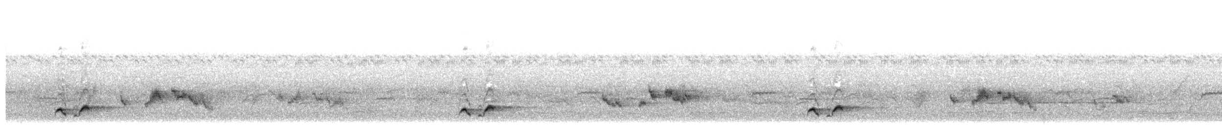 Spot-breasted Scimitar-Babbler - ML483747991