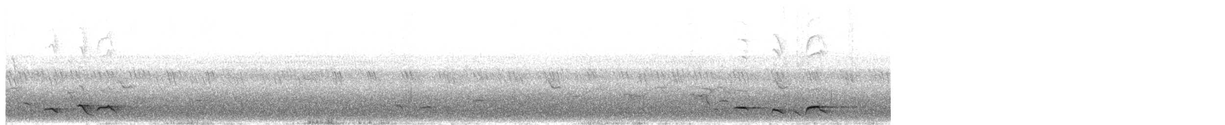 Slender-billed Oriole - ML483751461