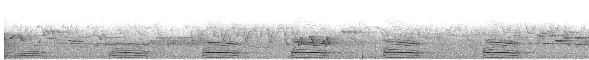 Трагопан синьогорлий - ML483752031