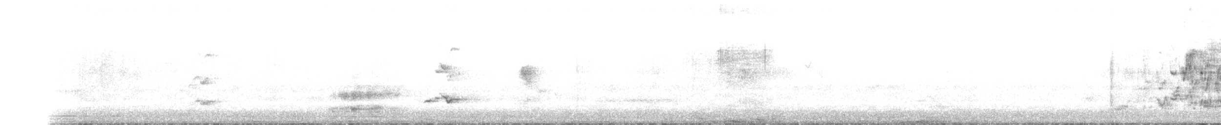 rosela zpěvavá - ML483752221