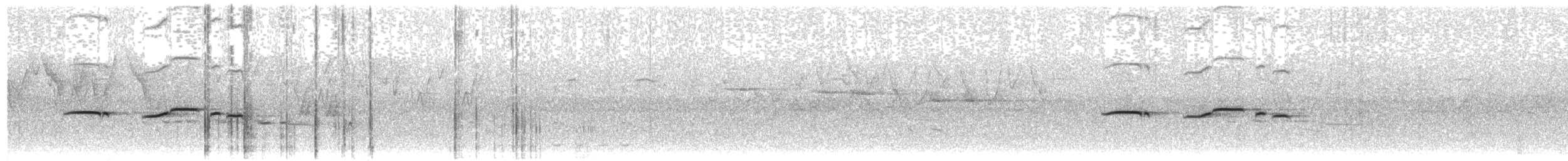 Chinese Vivid Niltava - ML483752401