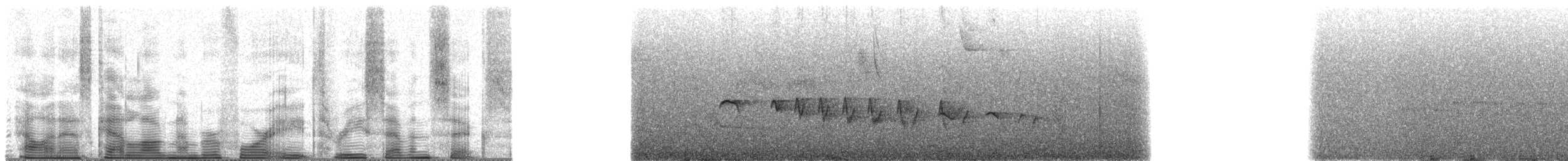 Bertoni's Antbird - ML48376