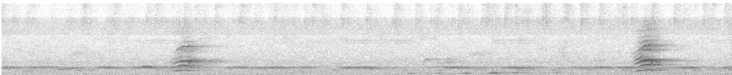 Malabar Gray Hornbill - ML483767731