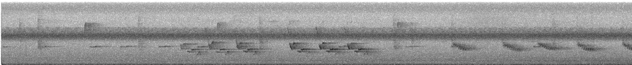 Troglodyte de Caroline - ML483790641