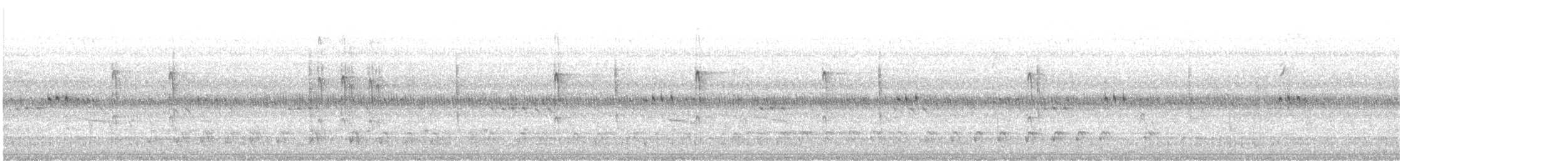 Pileated Woodpecker - ML483804511