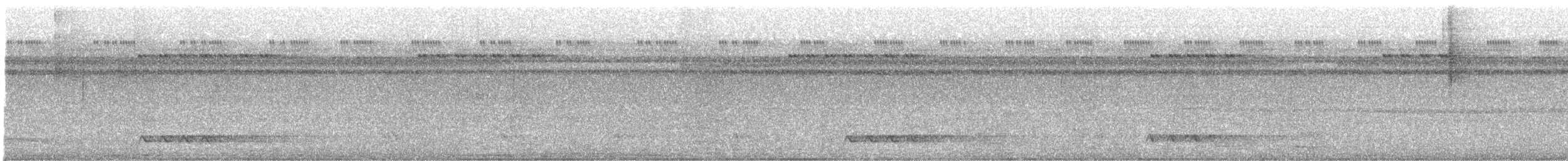 hvitkronegjøk - ML483822731