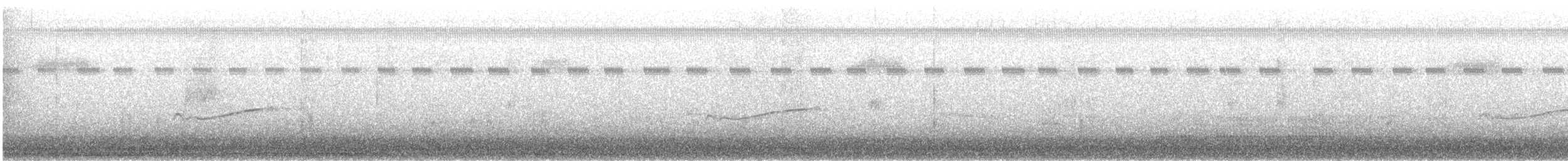 Hellbauch-Schnäppertyrann - ML483825971