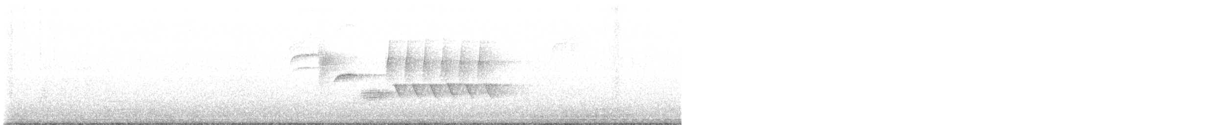 Bewick Çıtkuşu - ML483827691