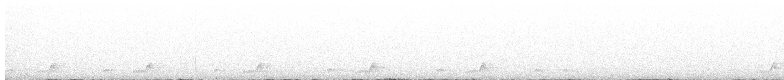 Mexikonachtschwalbe - ML483835081