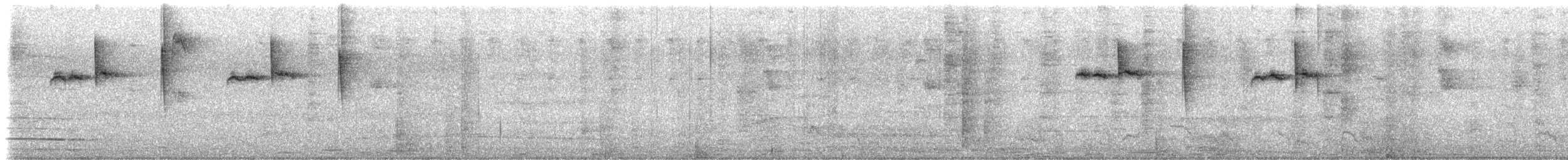Ariane à ventre gris (groupe tzacatl) - ML48384151