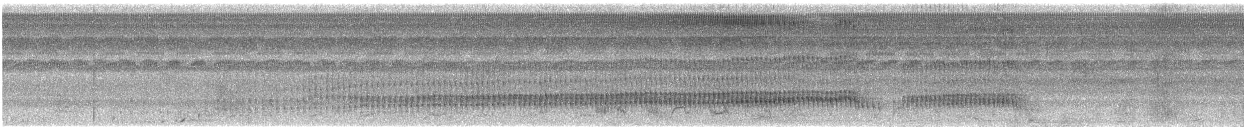 White-eared Jacamar - ML483843361