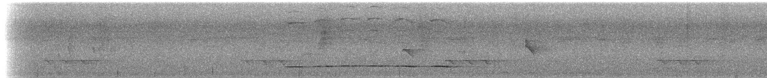 Streak-chested Antpitta (Pacific Slope) - ML48384881