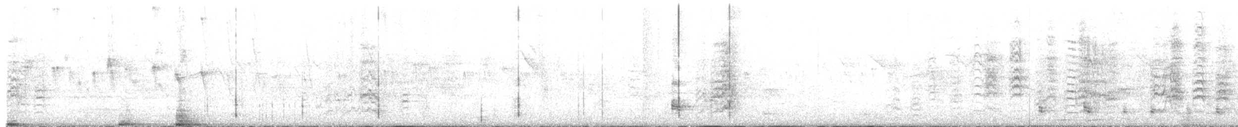 ibis bělokřídlý - ML483861281