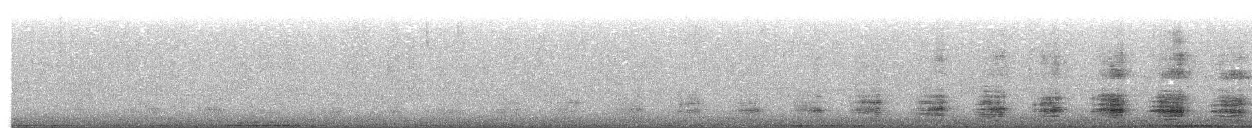 Northern Pintail - ML483862971