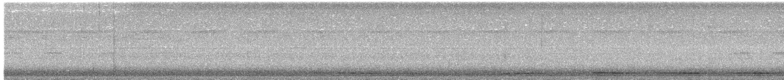Tinamou noir - ML48388471