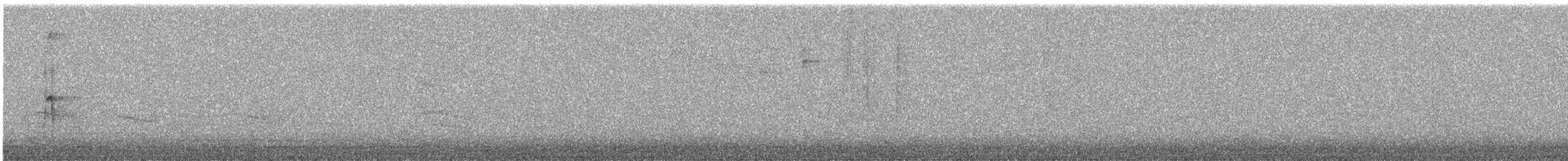 Haarspecht [villosus-Gruppe] - ML483885161