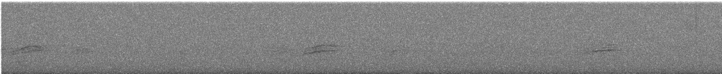 Münzevi Bülbül Ardıcı - ML483896531