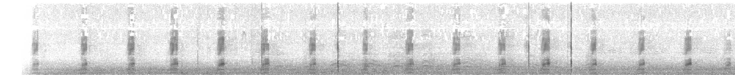 Stockente - ML483914951