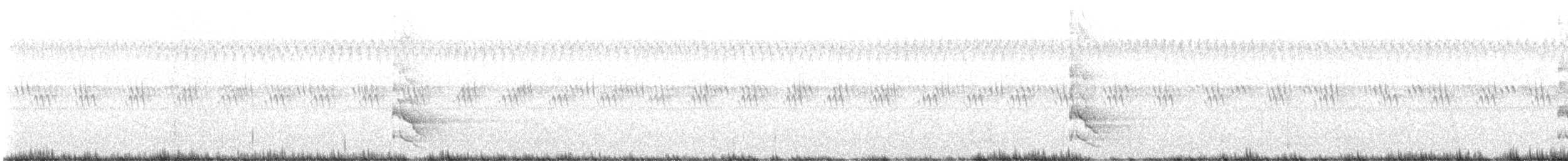 נקר צפון-אמריקני - ML484031781