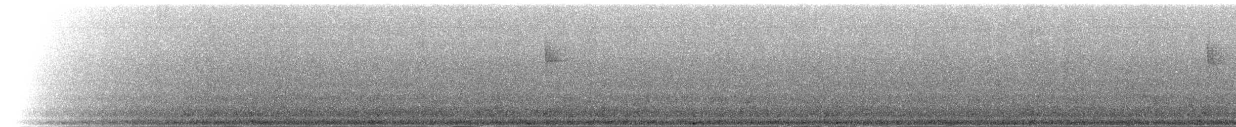 Зелёный колибри-отшельник - ML48407301