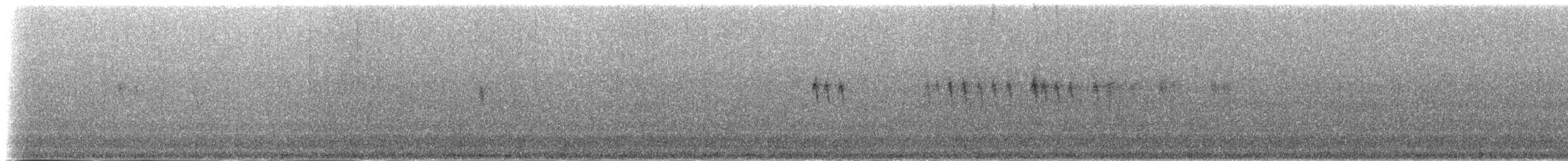 Mirlo Acuático Norteamericano (ardesiacus) - ML48407341
