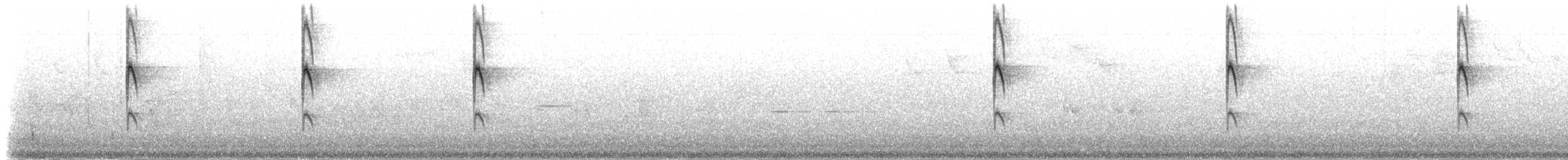 Colibri à gorge lilas - ML48408401