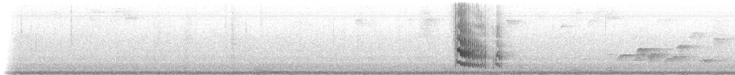 Трогон темноволий (підвид aurantiiventris/underwoodi) - ML48409021