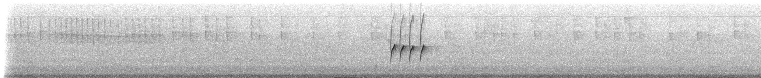 Gelbbauch-Schnäppertyrann (aurantiiventris) - ML48409211