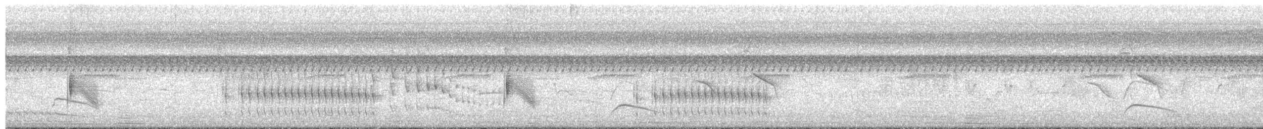 Schwarzrücken-Wassertyrann - ML484108961