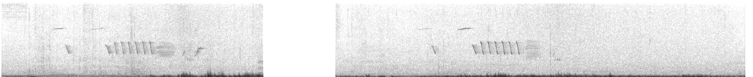 גיבתונית רוננת - ML484119011