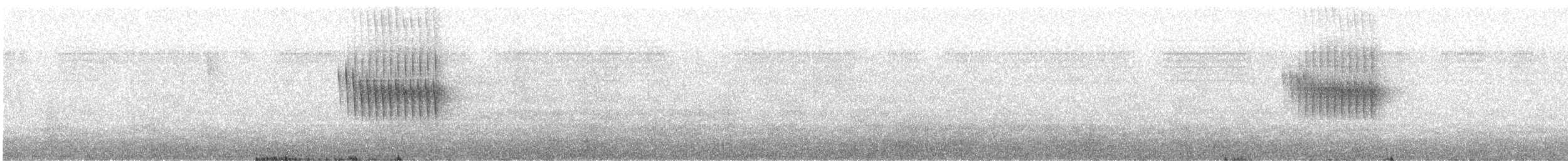 Stachelschwanzschlüpfer - ML484149981
