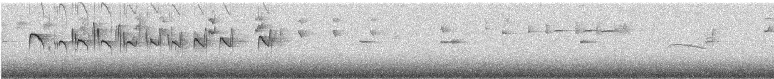 Тиран-крихітка чорноголовий - ML484156281