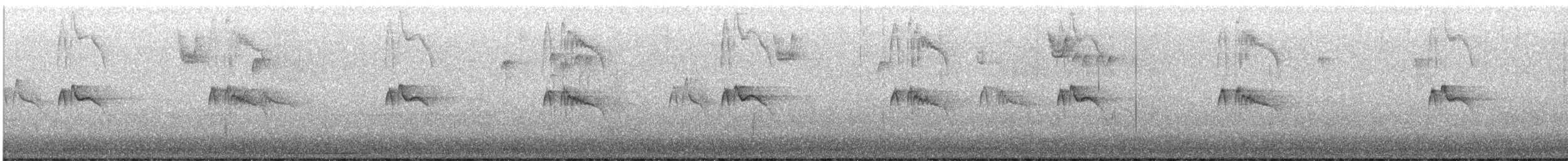 svartfibi - ML484184161