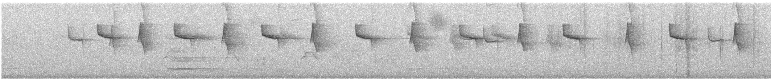 Чешуегорлый колибри-отшельник - ML484184621