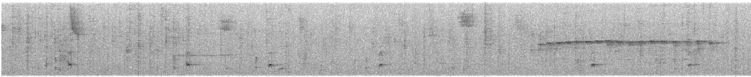 Shear-tailed Gray Tyrant - ML484185221