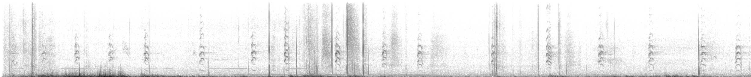 Échasse blanche - ML484189781