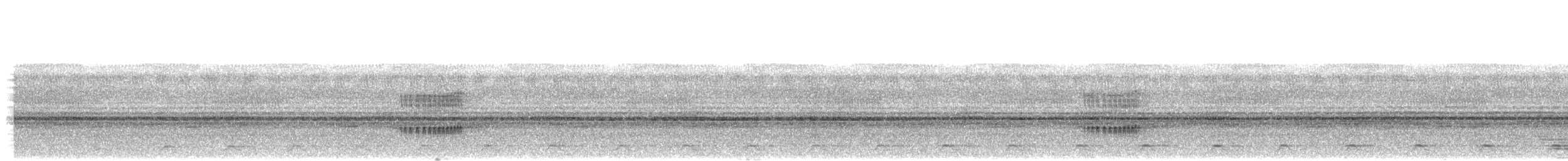Акрийский тоди-тиранн - ML484224251