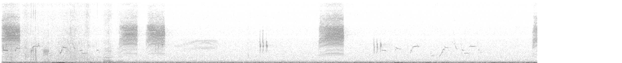 Cucarachero Colinegro - ML484319111