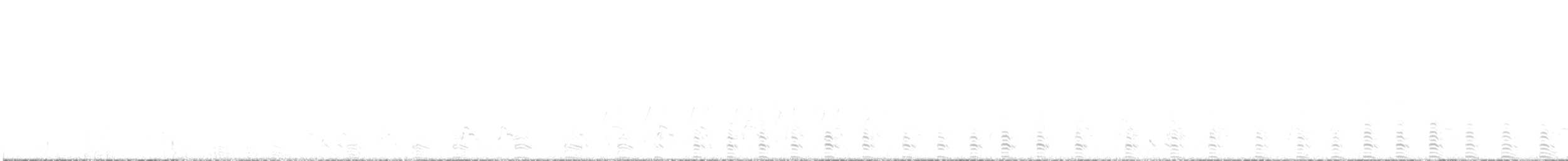 Magellanic Plover - ML484322571