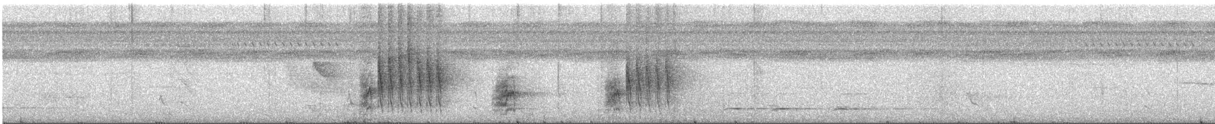 Bauchflecken-Ameisenvogel - ML484399881