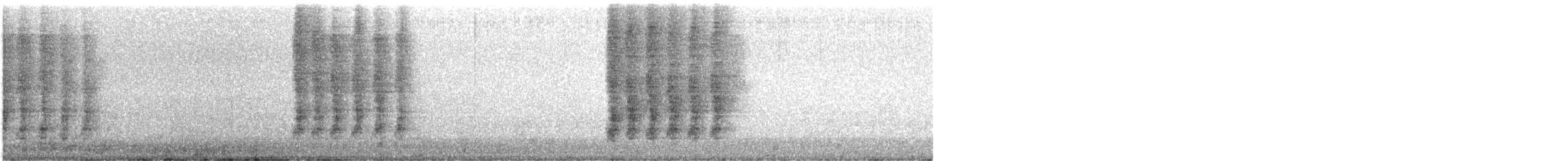Chara de Steller - ML484406991